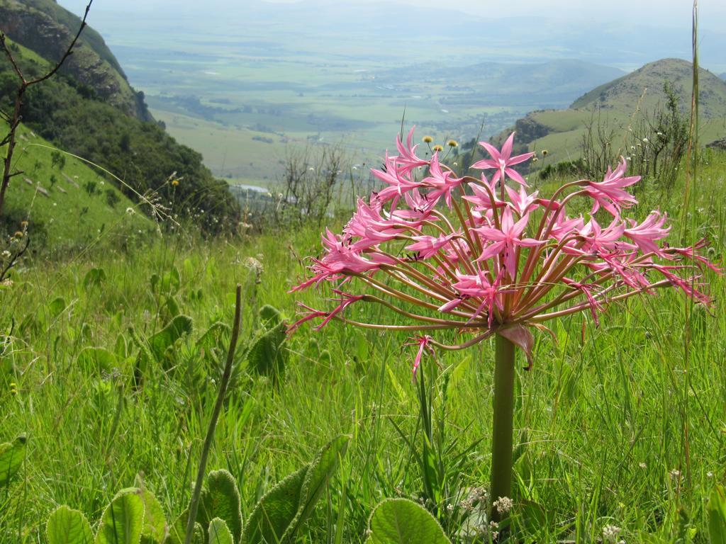 Verlorenkloof Dullstroom Buitenkant foto